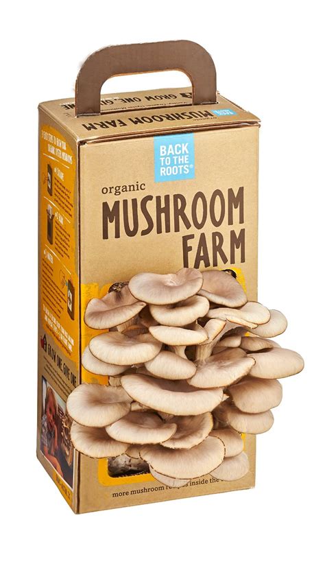 ebay mushroom grow kit